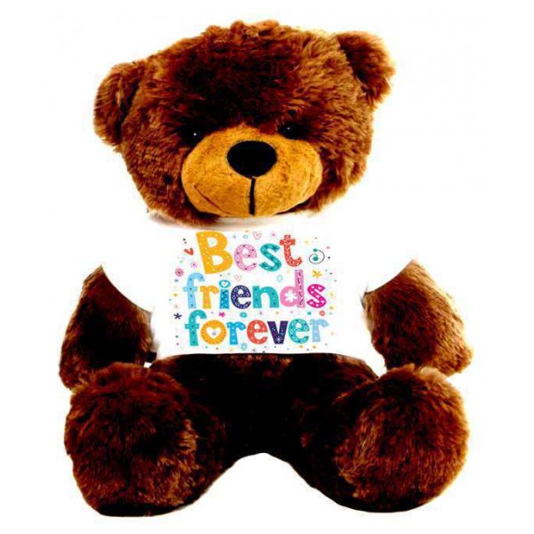 Brown 2 feet Big Teddy Bear wearing a Best Friends Forever T-shirt